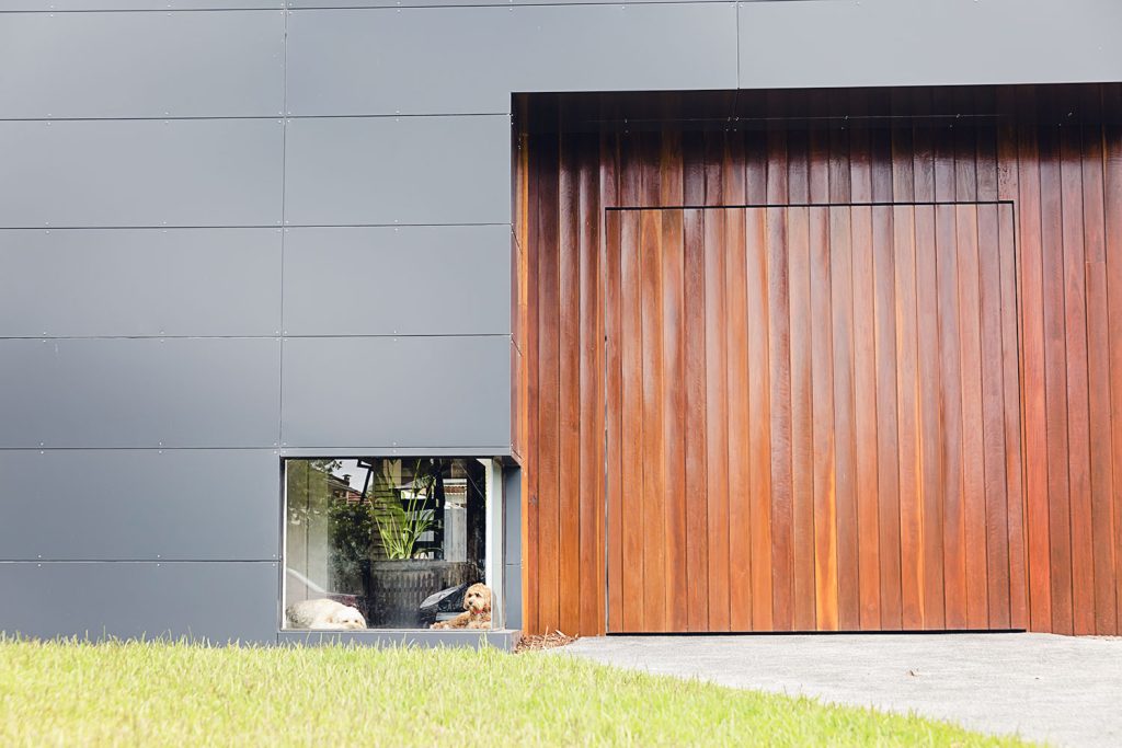 habitation moderne avec panneaux de façade en aluminium et bardage en bois, chiens installés à la fenêtre
