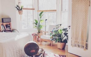 Slaapkamer van een woning met planten en zeten