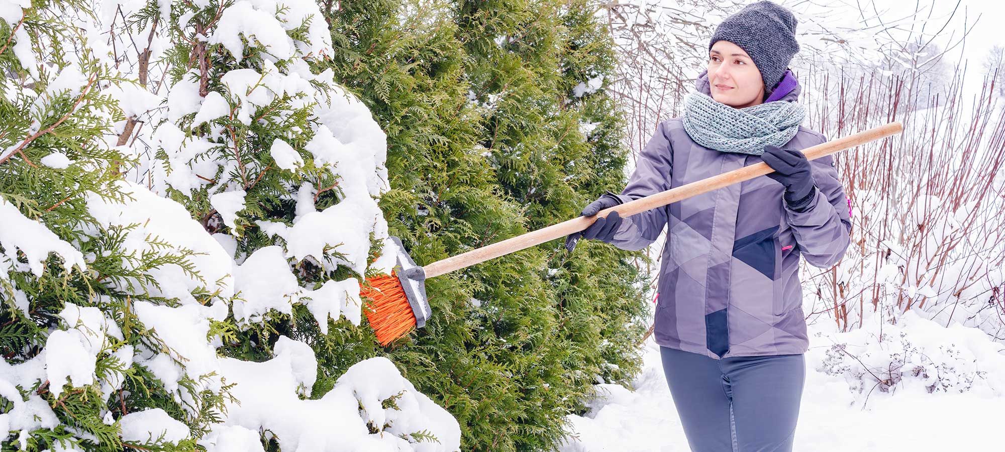 Tuinieren In De Winter: Geef Je Tuin De Tijd Om Op Adem Te Komen