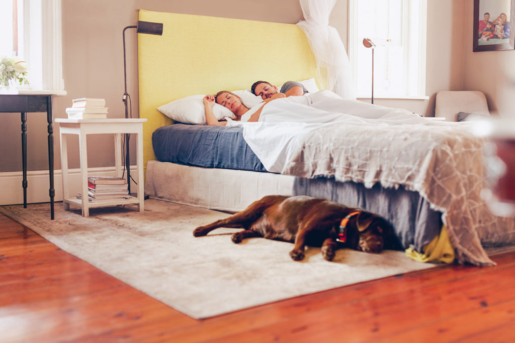 couple en train de dormir dans un lit, chien étendu au sol à côté du lit