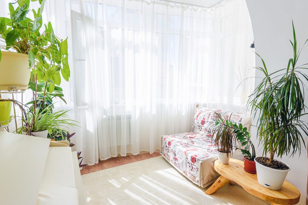 hall de nuit meublé d’un canapé, agrémenté de plantes près de la fenêtre
