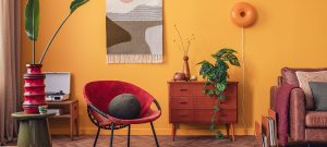 salon confortable avec mur coloré