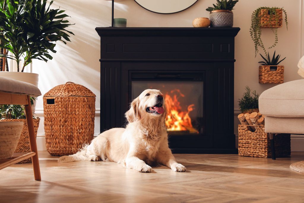 Golden retriever couché devant la cheminée électrique d'un salon chaleureux