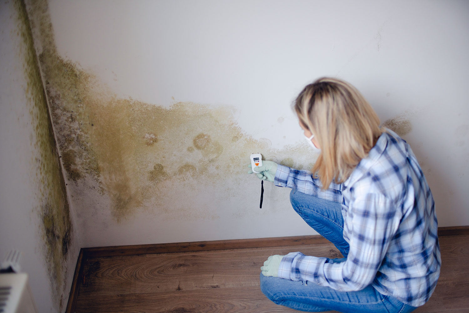 femme découvre moisissures au mur habitation