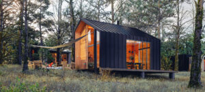 tiny house sur un terrain forestier